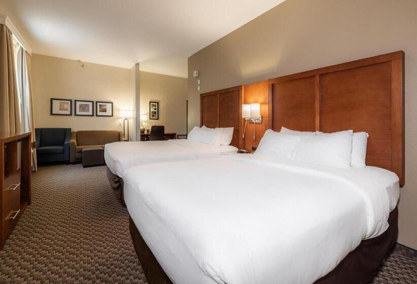 장애인을 위한 스위트, Comfort Suites Troyi75
