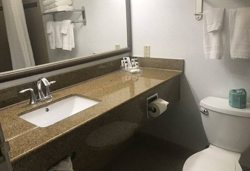 套房, Country Inn & Suites By Radisson, Tampa Airport North, Fl