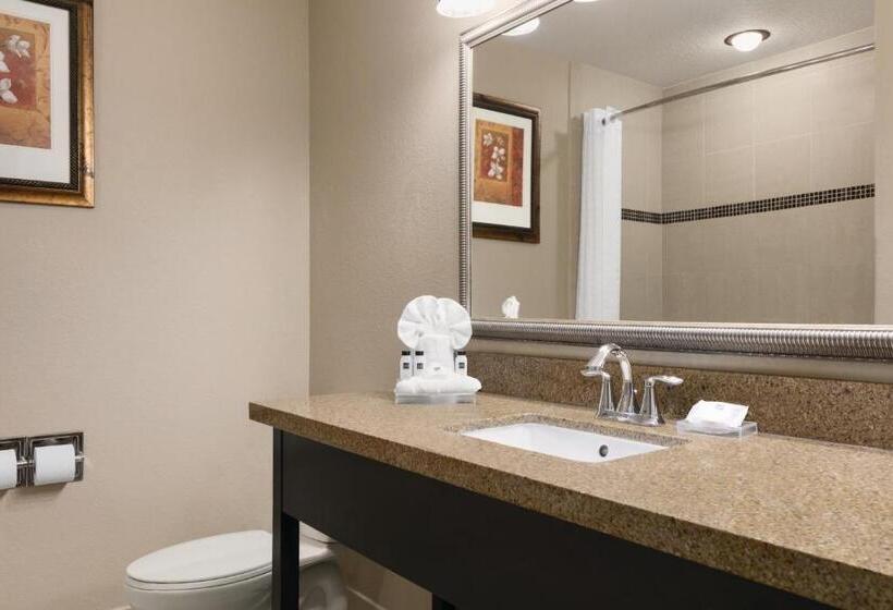 带大床的标准间, Country Inn & Suites By Radisson, Tampa Airport North, Fl