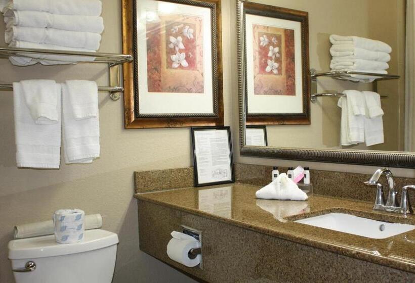 套房, Country Inn & Suites By Radisson, Tampa Airport North, Fl