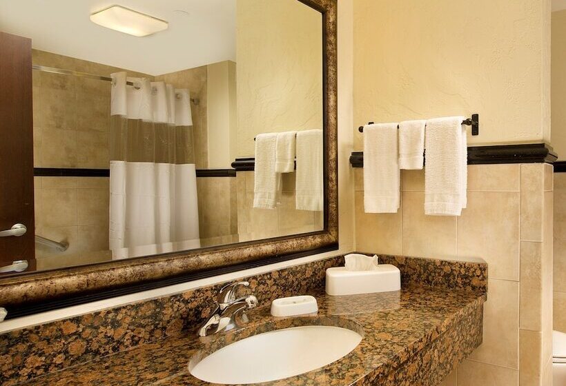 带露台的豪华间, Drury Inn & Suites San Antonio Near La Cantera