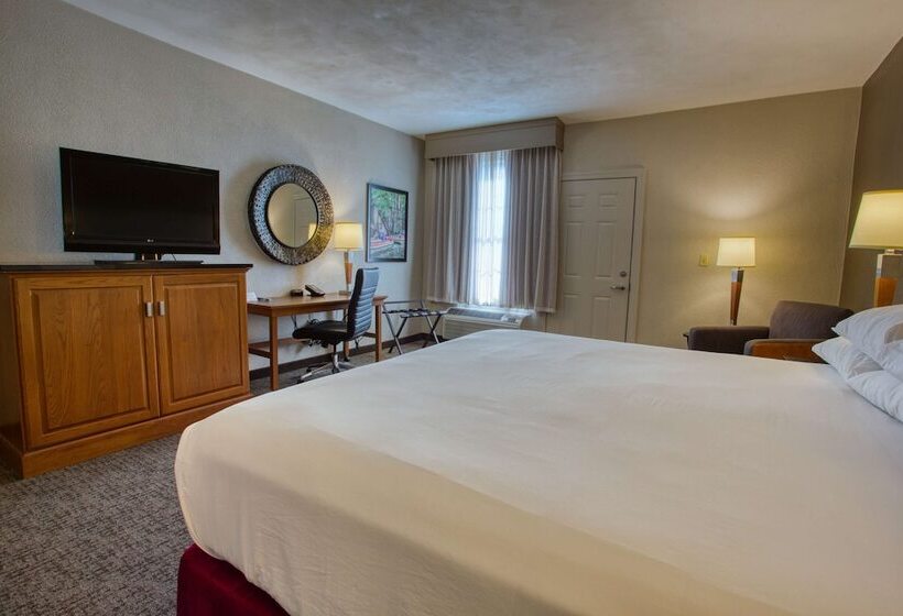 带露台的豪华间, Drury Inn & Suites San Antonio Near La Cantera
