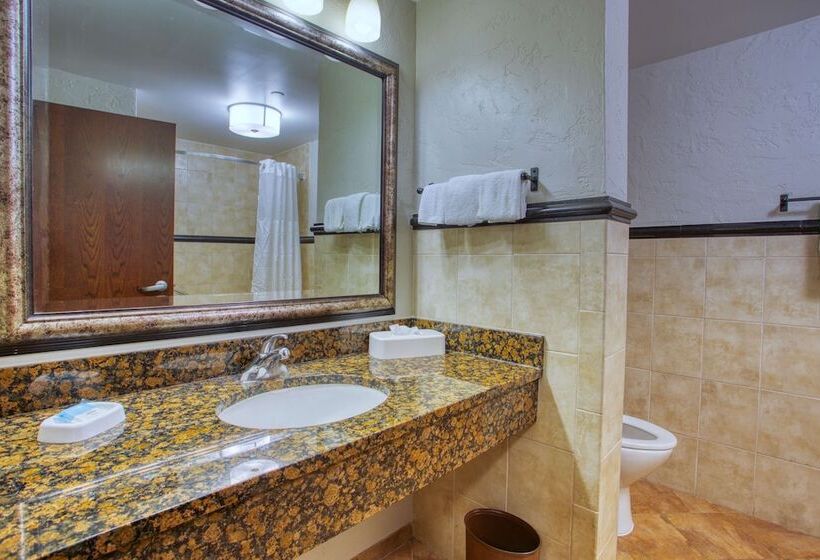 带观景的豪华间, Drury Inn & Suites San Antonio Near La Cantera