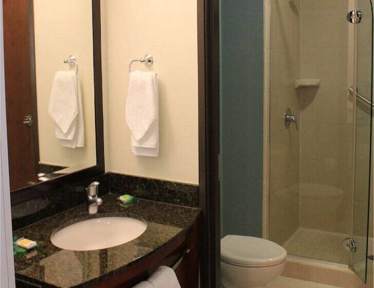 Номер Стандарт 2 Двуспальные Кровати, Hyatt Place Dallas/garland/richardson