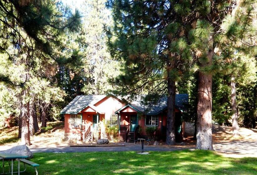 Номер Стандарт, Mount Shasta Resort
