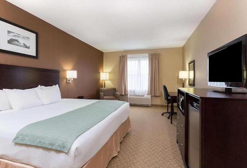 장애인을 위한 킹사이즈 침대 스탠다드 룸, Palm Coast Hotel & Suites I 95