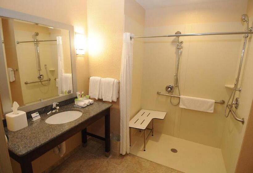 장애인을 위한 킹사이즈 침대 스탠다드 룸, Holiday Inn Express Somerset By Ihg