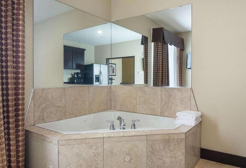 Стандартный Номер Кровать Кинг, Rodeway Inn & Suites
