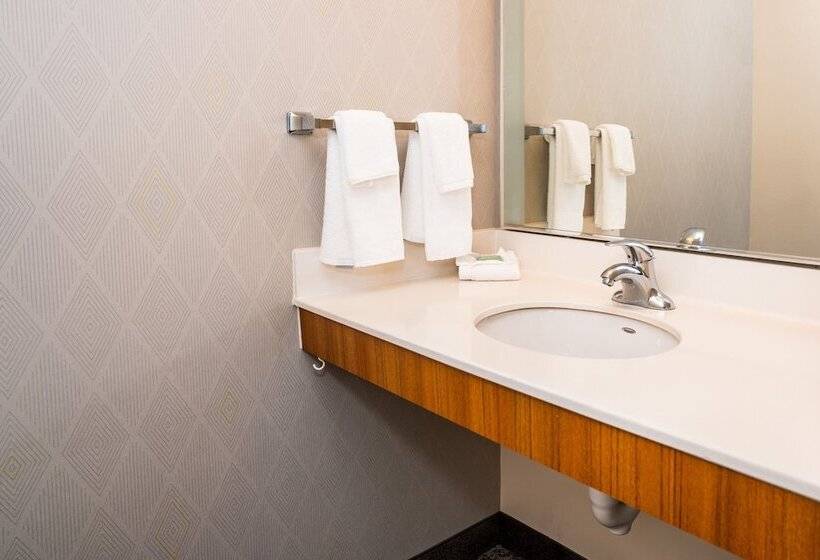 Люкс, Springhill Suites By Marriott San Antonio Alamo Plaza/convention Center