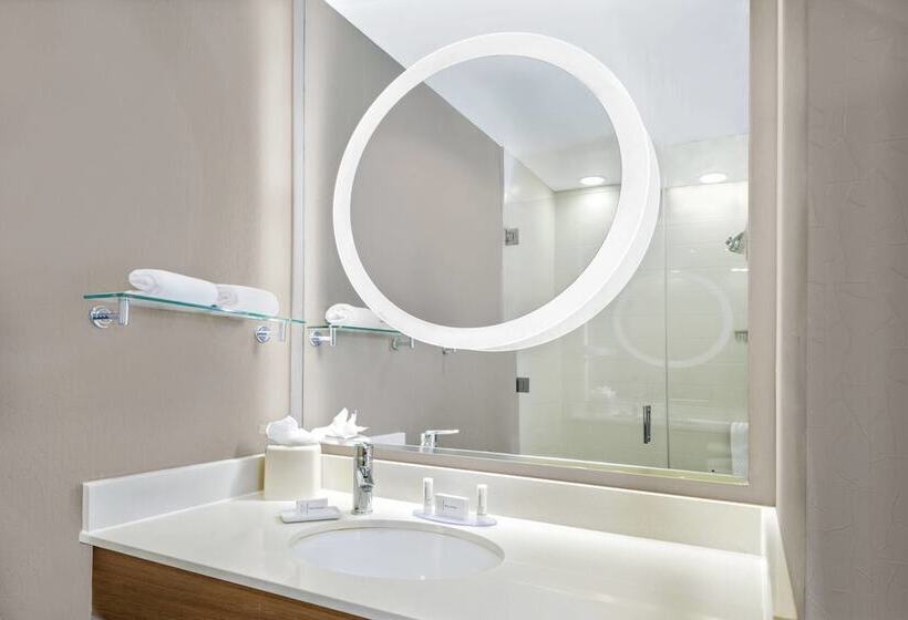 Номер Стандарт, Springhill Suites By Marriott San Antonio Seaworld®/lackland