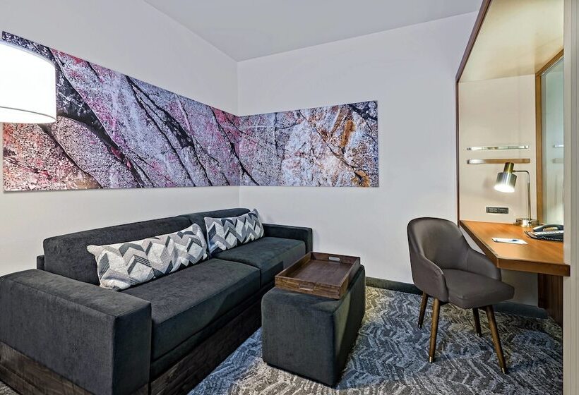 Номер Стандарт, Springhill Suites By Marriott San Antonio Seaworld®/lackland