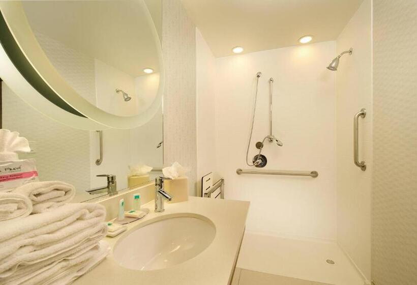 Студио Стандарт Кровать Кинг, Springhill Suites By Marriott San Antonio Seaworld®/lackland