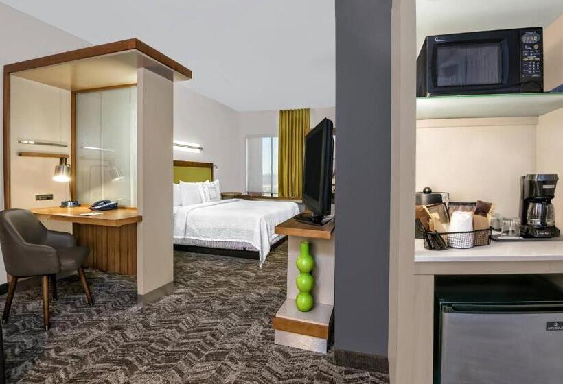 Студио Стандарт Кровать Кинг, Springhill Suites By Marriott San Antonio Seaworld®/lackland