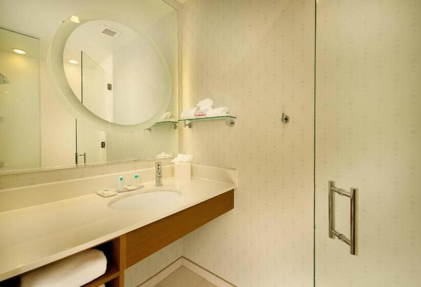 Номер Стандарт Верхний Этаж, Springhill Suites By Marriott San Antonio Seaworld®/lackland