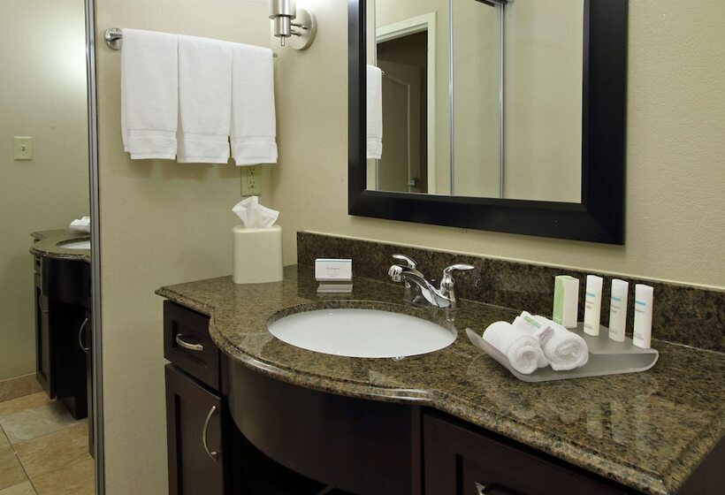 身障者適用スイートルーム, Homewood Beaumont, Tx