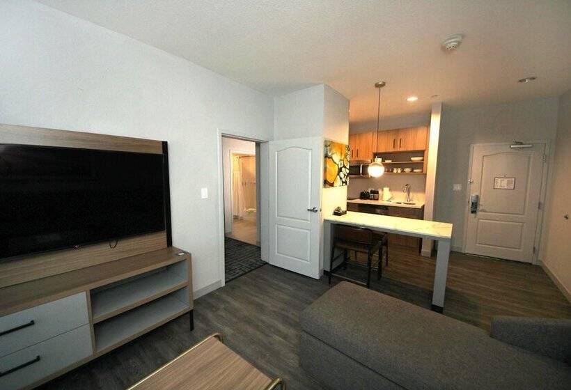 身障者適用スイートルーム, Homewood Beaumont, Tx