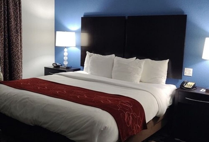 Люкс, Comfort Suites Greenville