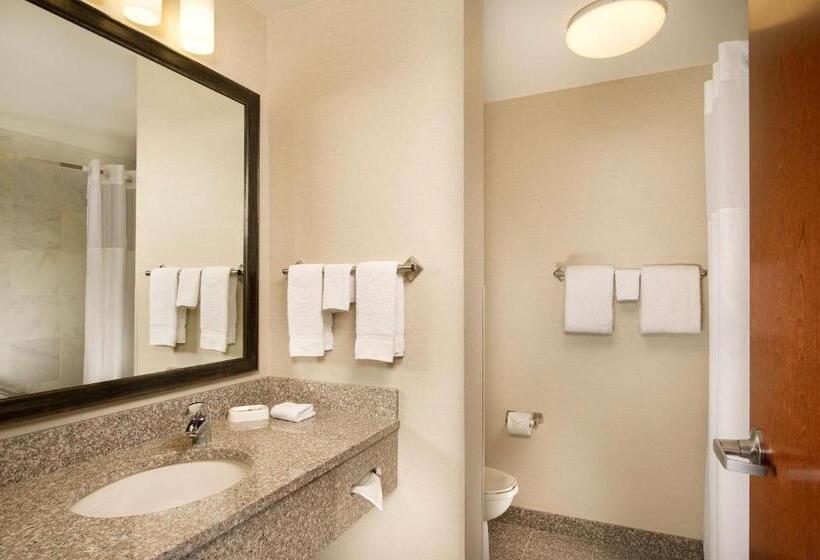 Люкс Кровать Кинг, Drury Plaza Hotel Valdosta