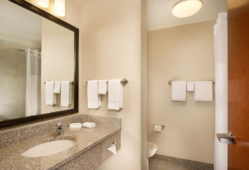 Номер Deluxe Адаптированный для Инвалидов, Drury Plaza Hotel Valdosta