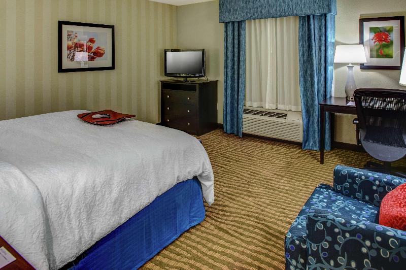 스탠다드 룸 킹사이즈 침대, Hampton Inn Thomson