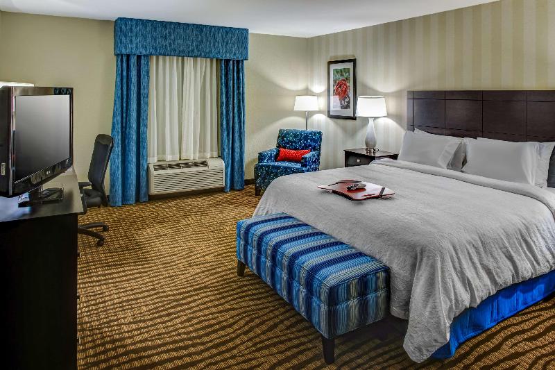 스탠다드 룸 킹사이즈 침대, Hampton Inn Thomson