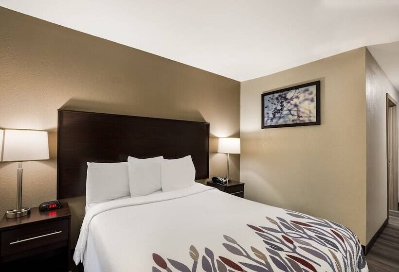 اتاق لوکس, Red Roof Inn Allentown South