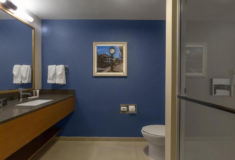 Стандартный Номер Кровать Кинг, Fairfield Inn & Suites Elizabeth City