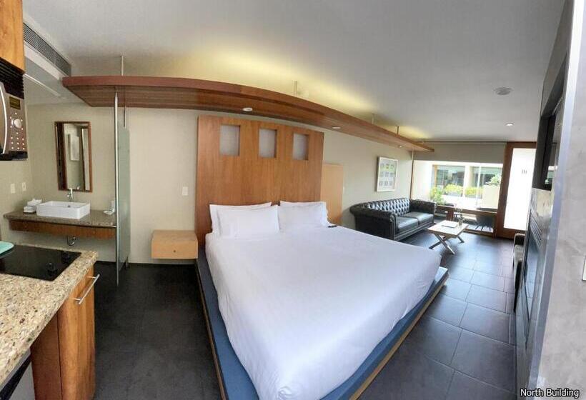 스탠다드 룸 킹사이즈 침대, 14 West Laguna Beach