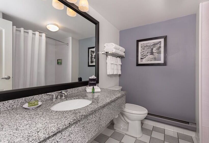Quarto Deluxe, Acadia Inn