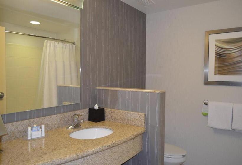 Стандартный Номер Кровать Кинг, Courtyard By Marriott Winchester Medical Center