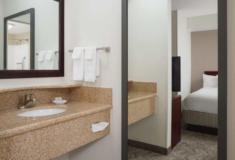 Люкс Адаптированный для Инвалидов, Springhill Suites Knoxville At Turkey Creek