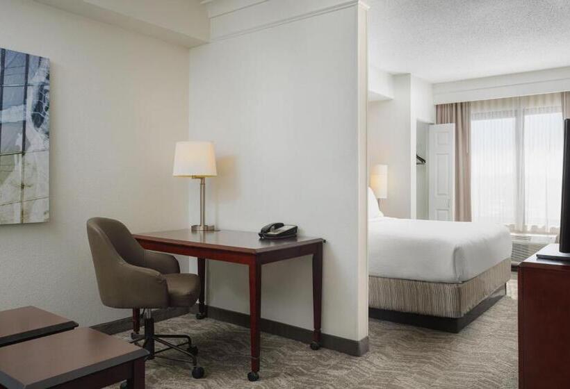 Студио Стандарт Кровать Кинг, Springhill Suites Knoxville At Turkey Creek