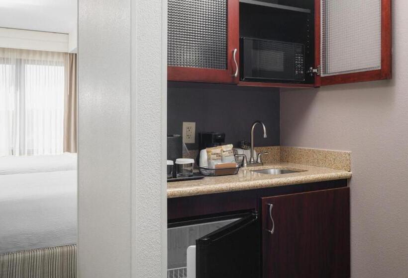 Люкс Адаптированный для Инвалидов, Springhill Suites Knoxville At Turkey Creek