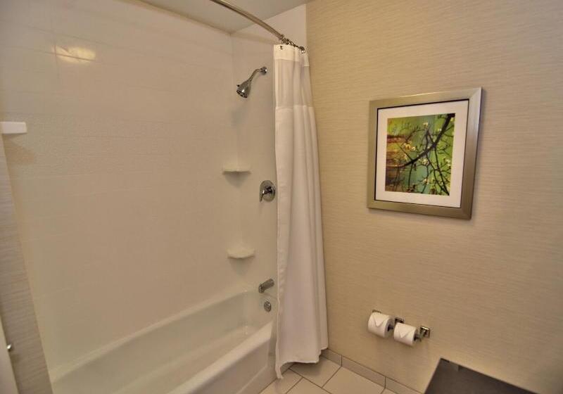 Стандартный Номер Кровать Кинг, Fairfield Inn & Suites By Marriott Towanda Wysox