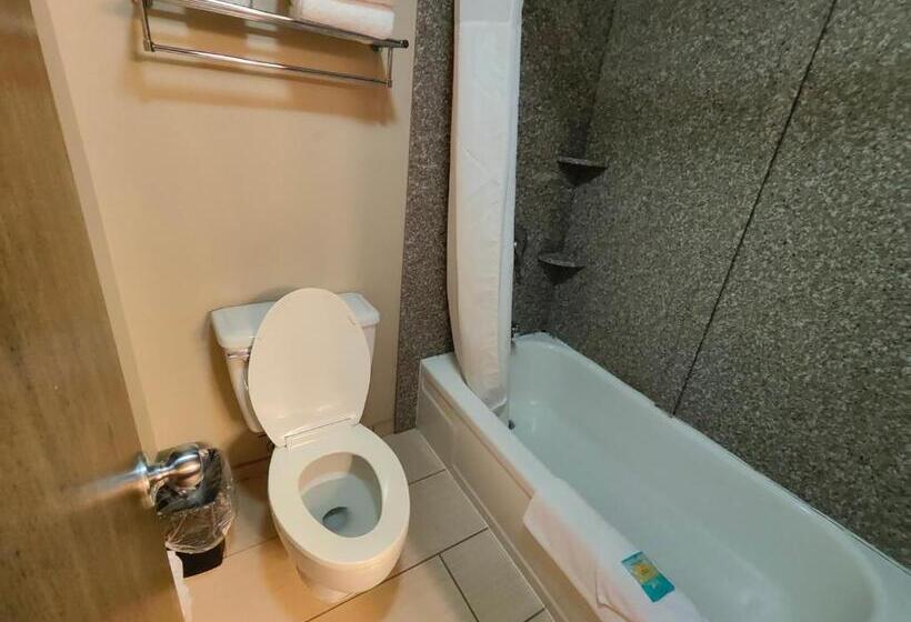 适合残疾人使用的标准间, Roosevelt Hotel   Undergoing Improvements