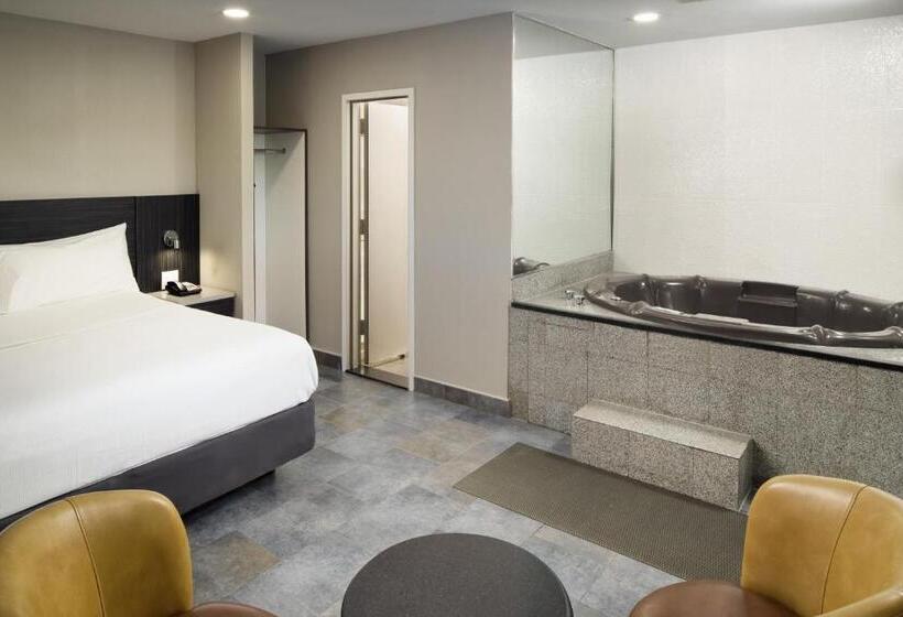스탠다드 룸 킹사이즈 침대, Skyview Motel