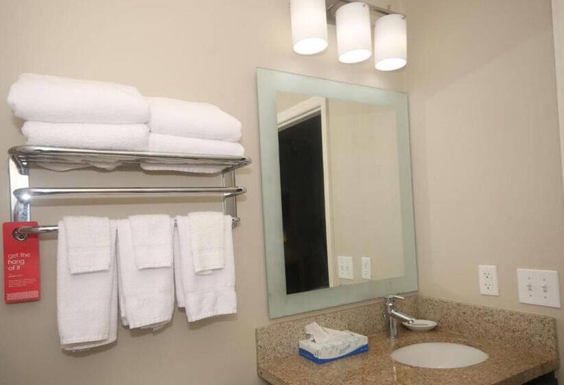Студия Стандарт, Towneplace Suites By Marriott Aiken Whiskey Road