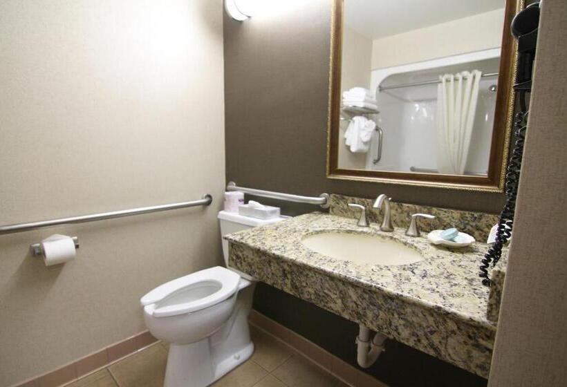 스탠다드 룸 킹사이즈 침대, C Mon Inn Billings