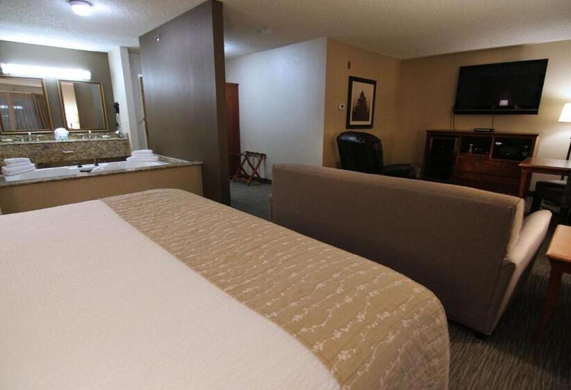 스위트 킹사이즈 침대, C Mon Inn Billings