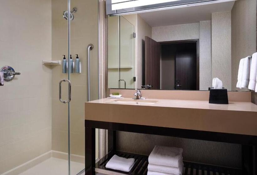 Стандартный Номер Кровать Кинг, Courtyard By Marriott Dallas Dfw Airport North/grapevine