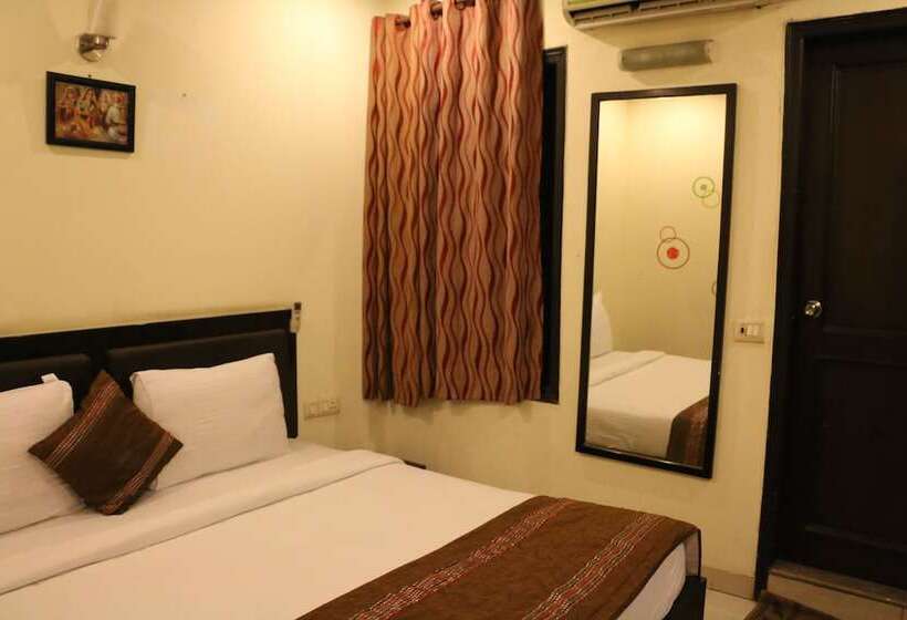 Номер Deluxe, Delhi Airport Plaza