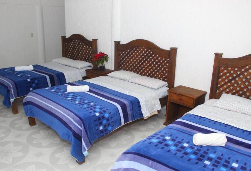 Chambre Familiale, Alejandra