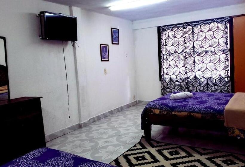 Chambre Quadruple Standard, Alejandra