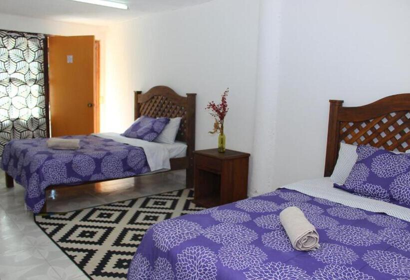 Chambre Quadruple Standard, Alejandra