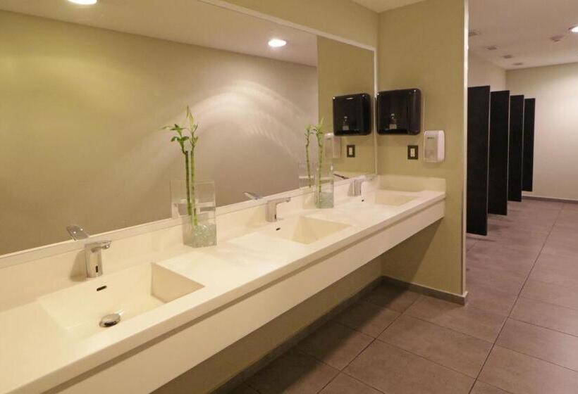 Люкс 2 Спальни, City Express Suites By Marriott Ciudad De México Santa Fe
