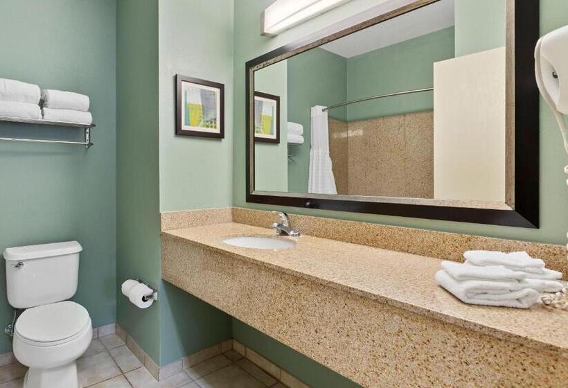Люкс Кровать Кинг, Extended Stay America Premier Suites  Lakeland  I4