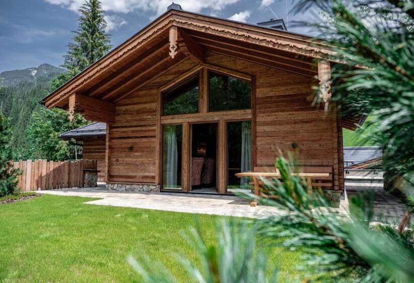 آپارتمان 1 خوابه, Natursinn Mountainchalets