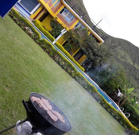 Standard Tent, Alex Country House