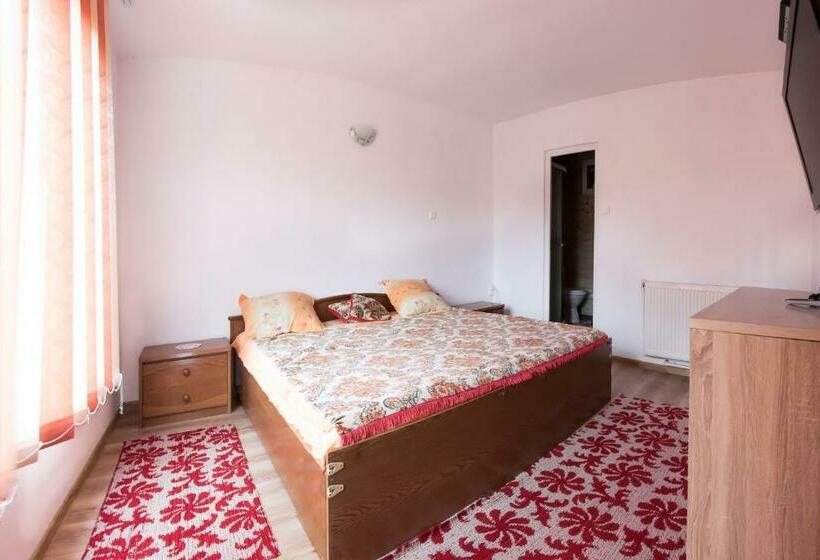 اتاق استاندارد, Casa De Vacanta Jeny
