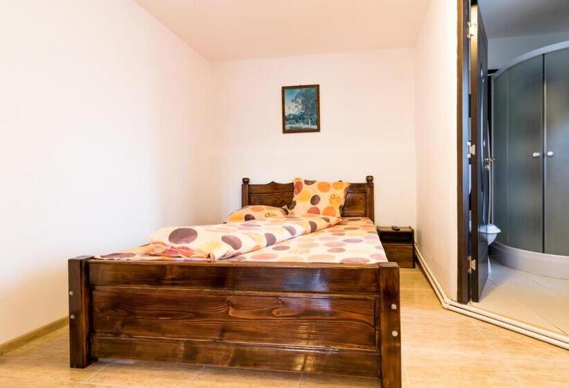 استودیو خانوادگی, Casa De Vacanta Jeny